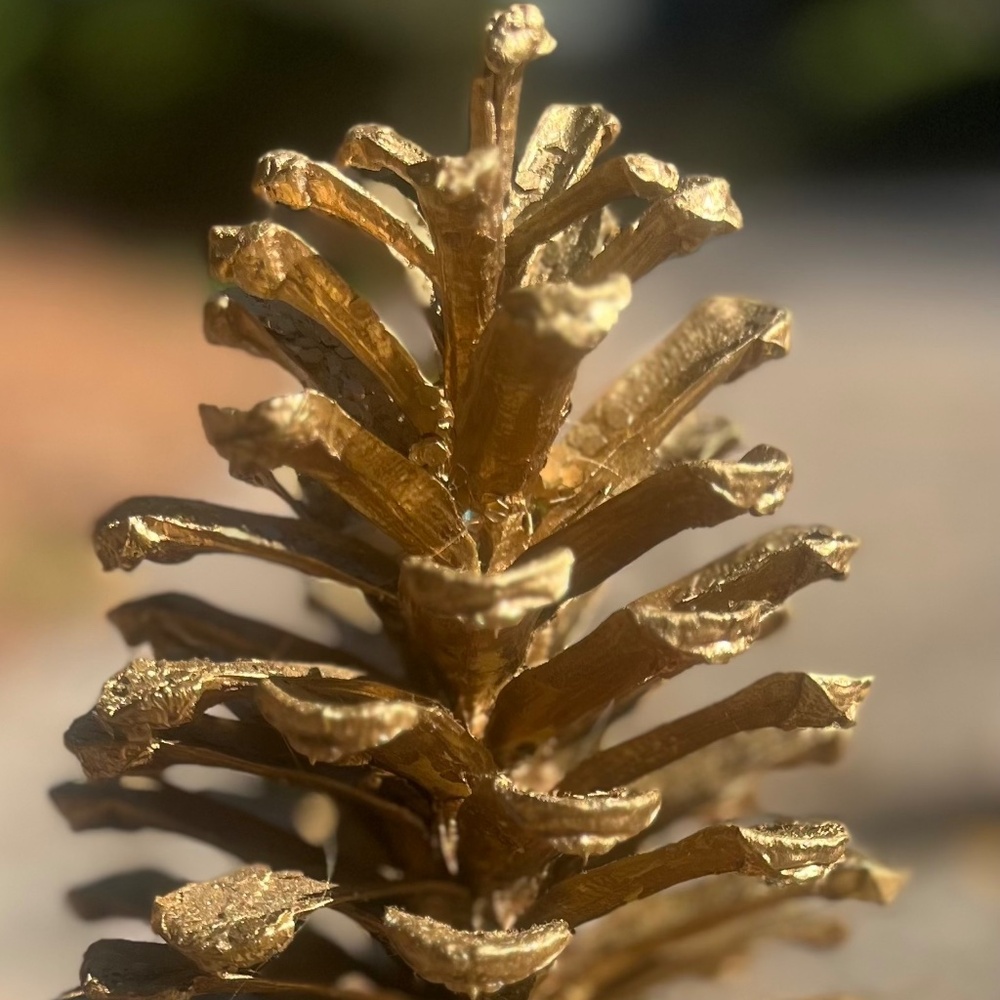 Golden Pine Cones